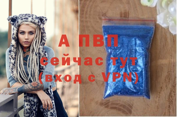 сатива Волосово