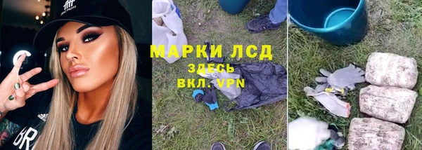 сатива Волосово